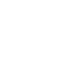 Street-Style Lizard