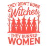 They Didn't Burn Witches Statement