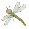 Dragonfly magic – delicate & dazzling