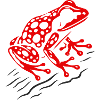 Frosch Erdbeerfrosch Roter Pfeilgiftfrosch
