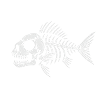 Perch Pirate White