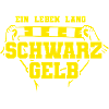 Fußball Dortmund