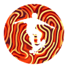 Skater Longboard Skateboard