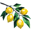 Lemon branch polygon