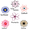 Blumenarten