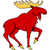 Moose with Antlers – Powerful Nature Symbol