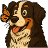 Bernese with butterfly