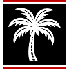 Palm Tree Icon