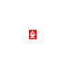 Grill Squad Grilling