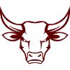 stier bull