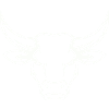 Bull Bull