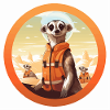 Le sauveteur suricate attentif