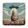 Close Encounter Chicken UFO Field