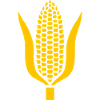 épi de maïs