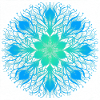 Floral Mandala