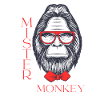 Mister Monkey