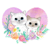 Cat Love