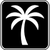 Palmier Icône Été