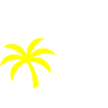 Palmier symbole plage