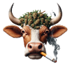 The Smoked Cow