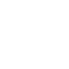 Monkeys Funny