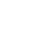Party Monkey
