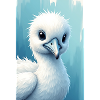 Albatross