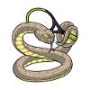 Snake Tennis Racket