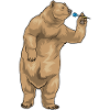 Fléchette d’ours Fléchette