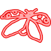 Neon Ladybug