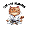 Ohm Mmmm Meditating Karate Cat