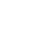 SPRINT
