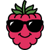 Raspberry Head