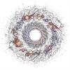 Void Mandala