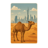 Camel in Dubai