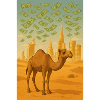 camel dubai money