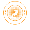 Kiteboarding Kitesurfer - Kitesurfing pro