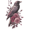 Raven