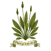 Plantago lanceolata Botanical Wild Herb Design