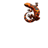 Salamanders Salamander