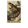Salamanders Salamander