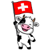 Swiss cow