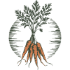Carottes millésimées