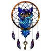 Cosmic Dream Catcher