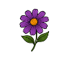 Purple Flower