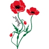 coquelicot