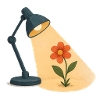 Aufgehende Blume