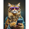 Coole Katze