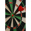 Sports - Darts/Darts