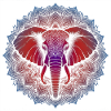 Trifecta Vertus Mandala